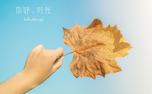 为何Paperpass查重结果会比知网查重结果高出不少?